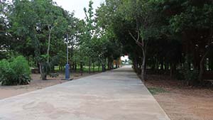 NbNĊg